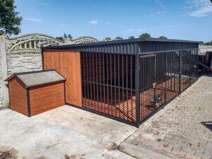 Kojec dla dwóch psów 6x3m - Kiwi