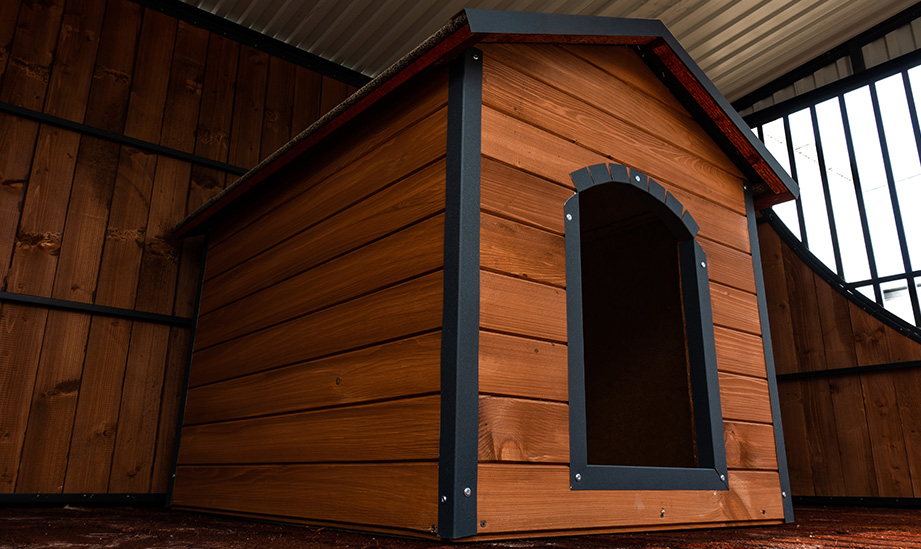 Buda w kojcach dla psów