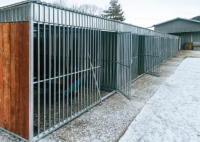 Kojec dla psów do schroniska zdj. 2