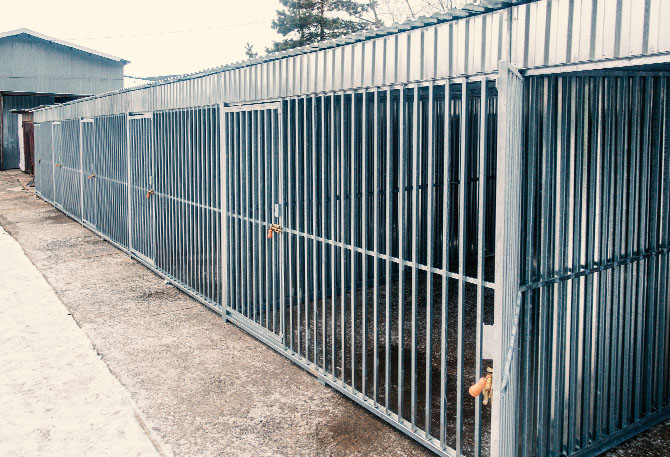 Kojce dla psów do schroniska