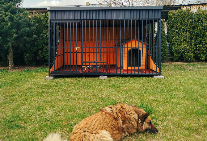 Kojec dla dwóch psów o wymiarach 6x3m
